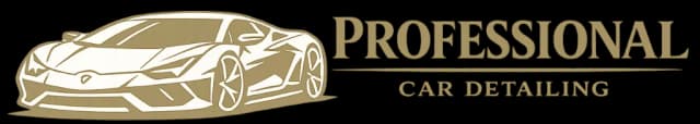 Professional Car Detailing